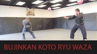 Koto Ryu Waza - 4th Dan - Bujinkan at Pathways Dojo