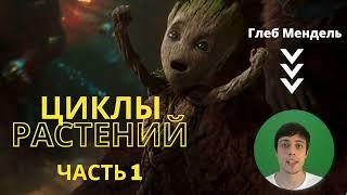 Циклы растений