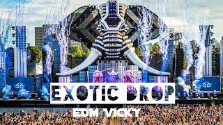 JUNGLE / EXOTIC / ( VDJ EDM VICKY )