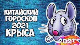 Крыса Китайский Гороскоп на 2021 год Быка