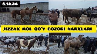 JIZZAX MOL QO'Y BOZORI NARXLARI ЖИЗЗАХ ОСИО ЧОРВА МОЛ БОЗОРИ НАРХЛАРИ #жиззах #rek #ozod