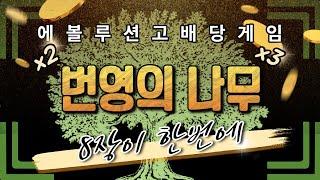 에볼루션 고배당 바카라 제대로 사고쳤네요