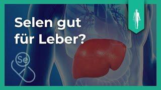 Selen gut für Leber? So wirkt der Nährstoff! | Lebererkrankung | Spurenelement