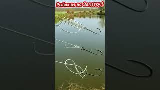 Рыболовные узлы для любой оснастки #shorts #рыболовныеузлы #рыбалка #top #fishing #2023 #1k #2024