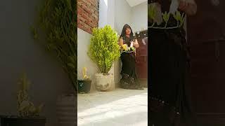 juaari balama re saribi balma# dance# shorts #viral# video# ytshorts