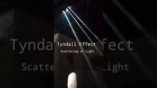 scattering of light show Tyndall effect...