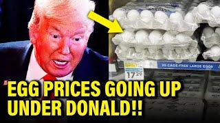 Trump LIES on Egg Prices BLOW UP in HIS FACE