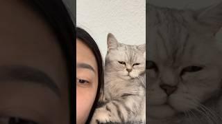 Forever love ️ #cat #cuocsongduc #cute #kitten #mèo #pets #katzen