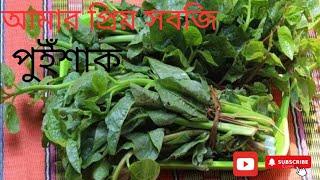 পুইশাক দিয়ে মজা দার রেসিপি,pui Shak Recipe      পুইশাক দিয়ে সিলভার মাছের রেসিপি, Sanjida Akhter