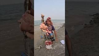 Chicken Bait with Eggs and Flour part 4 #fishing #fishinglife
