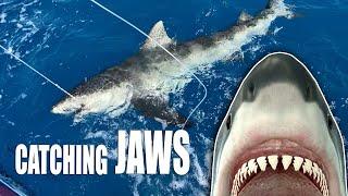 CATCHING JAWS  200 lb BULL SHARK | Gale Force Twins