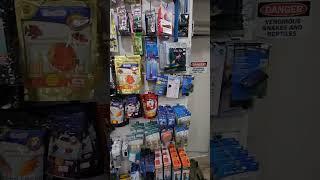 THE BESTIARY - The BEST pet shop in Toronto Canada - Reptile and Fish Sales.
