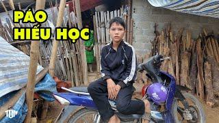 HIệp Chạy lên tư vấn gấp PÁO HIẾU HỌC Mua Xe Gì Cho Phù Hợp được. TIN VUI ẤM ÁP ĐẦU MÙA ĐÔNG