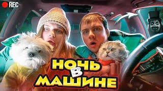 НОЧЬ В МАШИНЕ С КОТАМИ СКРЫВАЕМСЯ ОТ МАНЬЯКА! ЗА НАМИ СЛЕДЯТ...