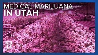 A look inside Utah's medical marijuana industry