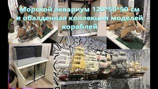 Обзор морского аквариума 300 литров. Коллекция моделей кораблей