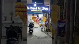 A Complete Pet Shop In Bhopal #petshop #bhopal #indrapuri #minal #narela #youtube #trending #pets