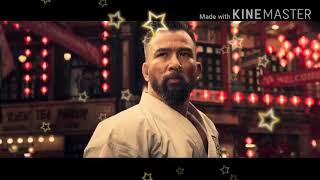 ip man 4 fight fight scene