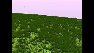 Geometry Shader Grass