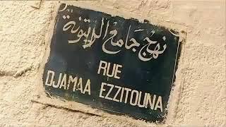 TV travel channel report  tunisia