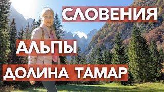 Словения. Альпы. Долина Тамар. #словения #альпы