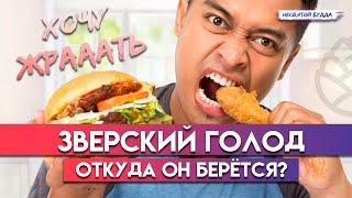 Откуда берётся зверский голод? Почему человек быстро стареет?