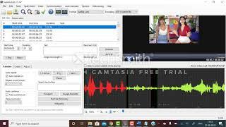 Subtitle Edit Tutorial by VerboLabs | Learn subtitling | Free subtitling tool | Subtitle Editor