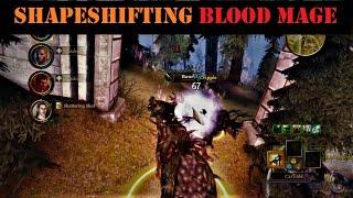 Shapeshifting Blood Mage Build!  Dragon Age Origins (Nightmare Difficulty)