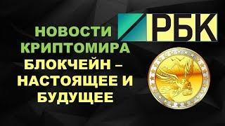 Platincoin Трендовое направление для заработка Настоящее и будущее блокчейна в России  Новости РБК