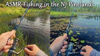 ASMR Fishing in the New Jersey Pinelands (Batsto Lake Dam & Tom's Pond) (1st Time Using Frog Lures)