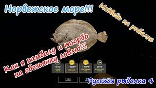 Норвежское море, обезьянка.  #рр4 #норвежскоеморе #русскаярыбалка4 #медведьнарыбалке