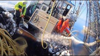 POV: Wild Alaska Purse Seining - 30,000 LB Set