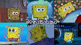 මනෝපාරට Sinhala song | Slowed Reverb Song collection sinhala | #A_lone_ #slowedandreverb