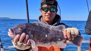 Blackfish (Tautog) Fishing - How To Feel the Bite in Rough Seas??