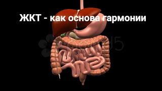 Рекомендации ГАСТРОЭНТЕРОЛОГА по удалению БАКТЕРИЙ, ГРИБОВ, ВИРУСОВ и ПАРАЗИТОВ.