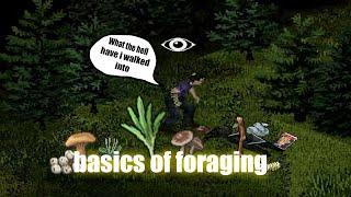 Quick guide to the very basics of foraging