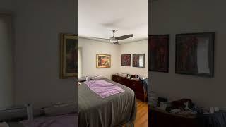 Concept IV LED Smart Fan by Minka Aire in Brushed Nickel in a bedroom in Little Italy.