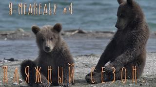 Beach season. Cubs playing Brown bear #  4  Kids Animal Nature for the little ones.