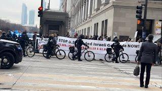 Free Palestine Rally In Downtown Chicago