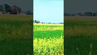 Running || 9th day || Shahi Samrat #short #shortvideo #running