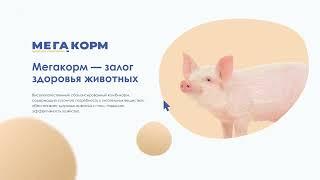 Представляем сайт МЕГАКОРМ для направления комбикормов и мелкой фасовки премиксов