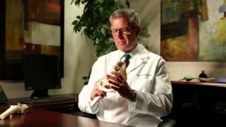 Total Hip Replacement - John G. DeSantis, D.O.