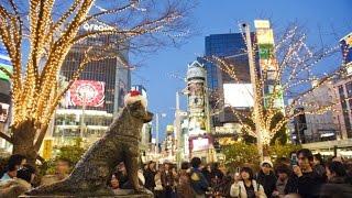 Japan - Shibuya Station, Tokyo. (Hachikō Statue)