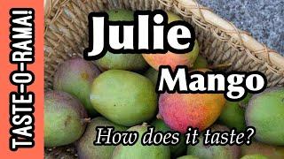 Taste-O-Rama! 'Julie' Mango ~ What does it taste like?