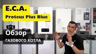 E.C.A. Proteus Plus Blue - обзор газового котла