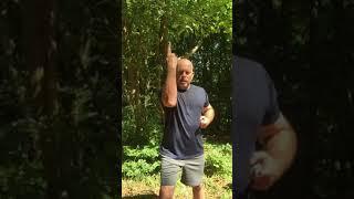 Focus points in Sai Jutsu