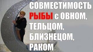 Совместимость в браке знака рыбы  с Овном, Тельцом, Близнецом, Раком