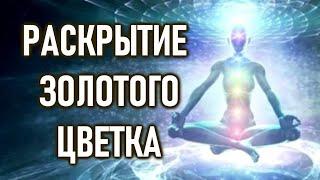 Принципы Света: Как раскрывается Золотой Цветок | ОШО