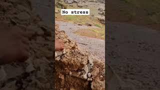 No stress