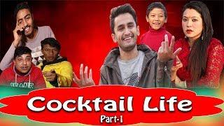 Cocktail Life || Series Part -1 || The Pk Vines ||